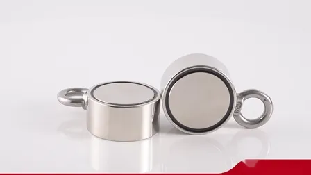 Изготовленный на заказ кольцевой магнит AlNiCo для динамиков